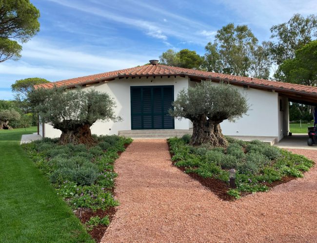 WhatsApp Image 2026-01-06 at 16.18.43