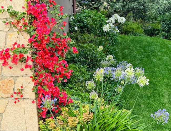 WhatsApp Image 2026-01-06 at 16.18.44 (1)