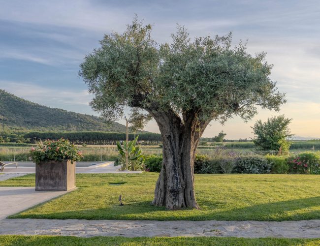 WhatsApp Image 2026-01-06 at 16.18.44 (10)