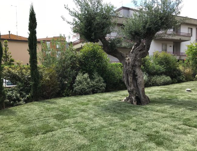 WhatsApp Image 2026-01-06 at 16.18.44