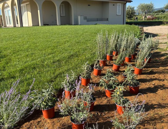 WhatsApp Image 2026-01-06 at 16.18.45 (3)